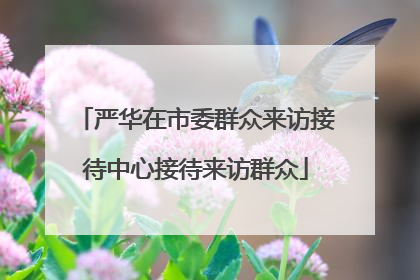 严华在市委群众来访接待中心接待来访群众