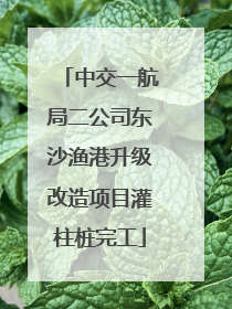 中交一航局二公司东沙渔港升级改造项目灌柱桩完工