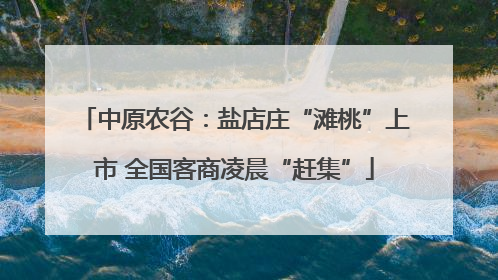 中原农谷：盐店庄“滩桃”上市 全国客商凌晨“赶集”