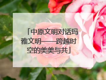 中原文明对话玛雅文明——跨越时空的美美与共
