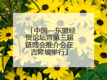 中国—东盟经贸论坛暨第三届链博会推介会在吉隆坡举行