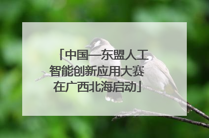 中国—东盟人工智能创新应用大赛在广西北海启动