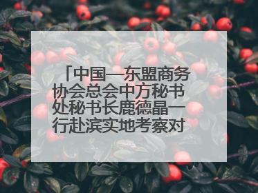 中国—东盟商务协会总会中方秘书处秘书长鹿德晶一行赴滨实地考察对接合作
