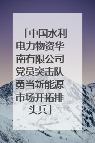 中国水利电力物资华南有限公司党员突击队勇当新能源市场开拓排头兵