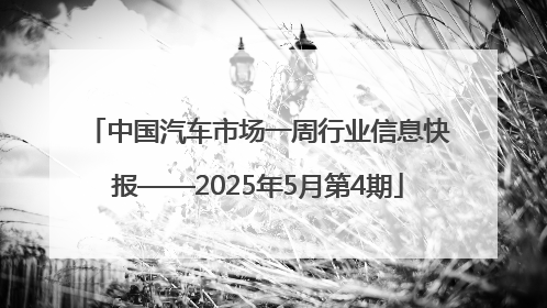 中国汽车市场一周行业信息快报——2025年5月第4期
