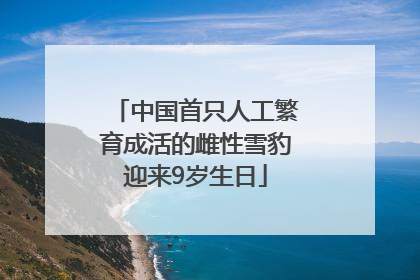 中国首只人工繁育成活的雌性雪豹迎来9岁生日