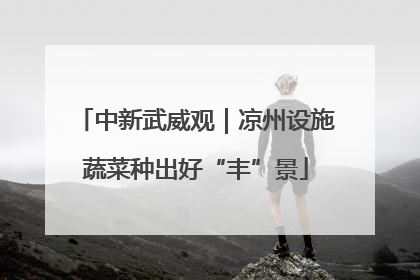中新武威观｜凉州设施蔬菜种出好“丰”景