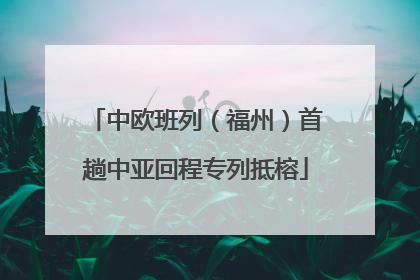 中欧班列（福州）首趟中亚回程专列抵榕