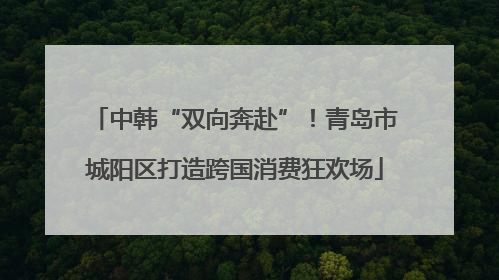 中韩“双向奔赴”！青岛市城阳区打造跨国消费狂欢场