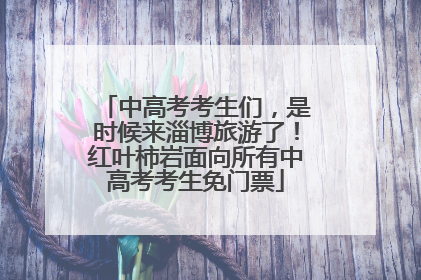 中高考考生们，是时候来淄博旅游了！红叶柿岩面向所有中高考考生免门票