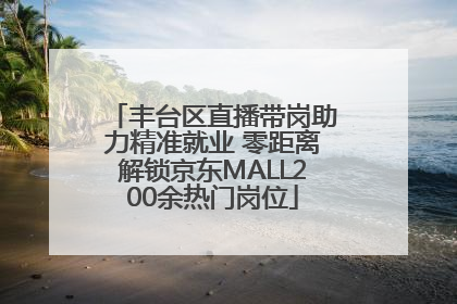 丰台区直播带岗助力精准就业 零距离解锁京东MALL200余热门岗位