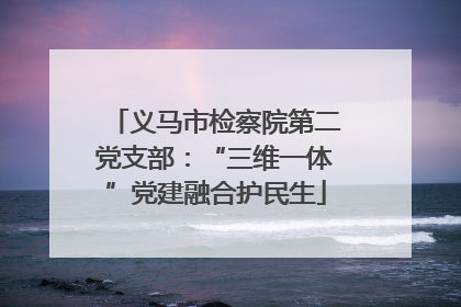 义马市检察院第二党支部：“三维一体”党建融合护民生