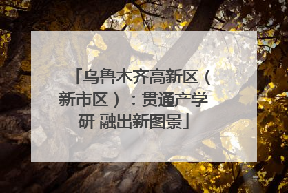 乌鲁木齐高新区（新市区）：贯通产学研 融出新图景