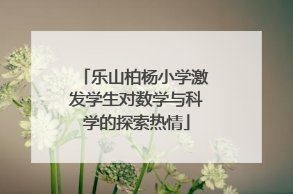 乐山柏杨小学激发学生对数学与科学的探索热情