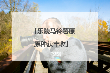 乐陵马铃薯原原种获丰收