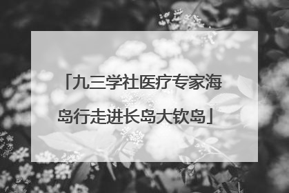 九三学社医疗专家海岛行走进长岛大钦岛