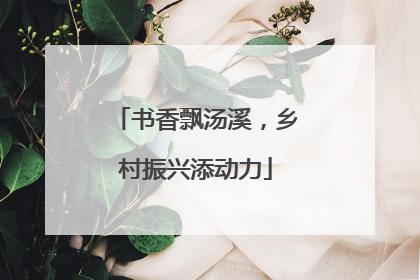 书香飘汤溪，乡村振兴添动力