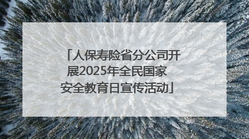 人保寿险省分公司开展2025年全民国家安全教育日宣传活动