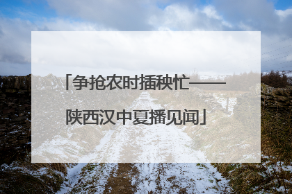 争抢农时插秧忙——陕西汉中夏播见闻