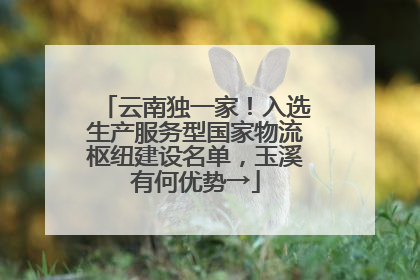 云南独一家！入选生产服务型国家物流枢纽建设名单，玉溪有何优势→