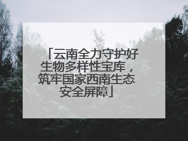 云南全力守护好生物多样性宝库，筑牢国家西南生态安全屏障