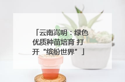 云南嵩明：绿色优质种苗培育 打开“缤纷世界”