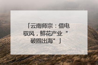 云南师宗：借电驭风，鲜花产业“破圈出海”