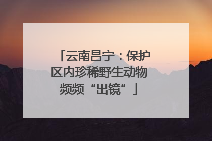 云南昌宁：保护区内珍稀野生动物频频“出镜”