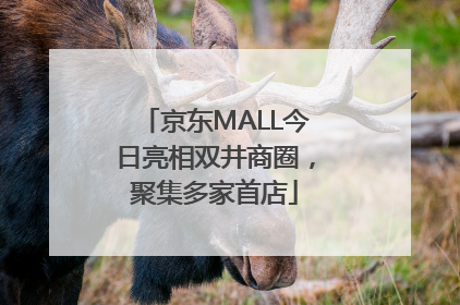 京东MALL今日亮相双井商圈，聚集多家首店