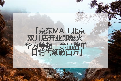 京东MALL北京双井店开业即爆火 华为等超十余品牌单日销售额破百万