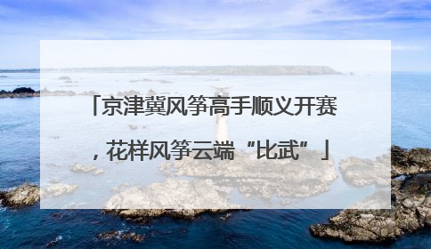 京津冀风筝高手顺义开赛，花样风筝云端“比武”