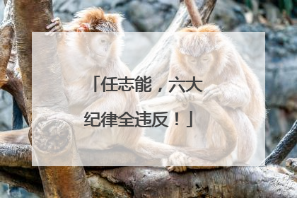 任志能，六大纪律全违反！