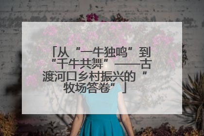 从“一牛独鸣”到“千牛共舞”——古渡河口乡村振兴的“牧场答卷”