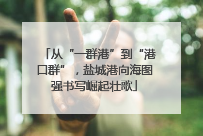 从“一群港”到“港口群”，盐城港向海图强书写崛起壮歌