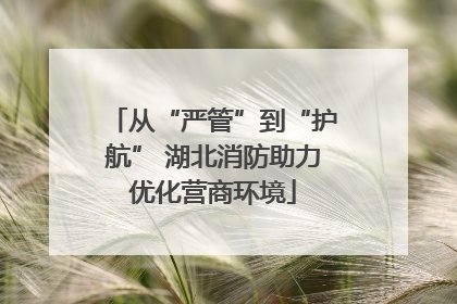 从“严管”到“护航” 湖北消防助力优化营商环境