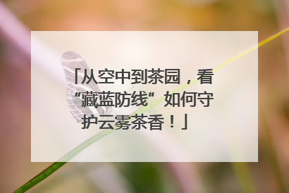 从空中到茶园，看“藏蓝防线”如何守护云雾茶香！