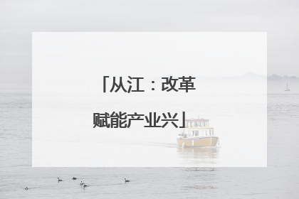 从江：改革赋能产业兴