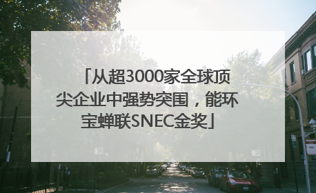 从超3000家全球顶尖企业中强势突围，能环宝蝉联SNEC金奖