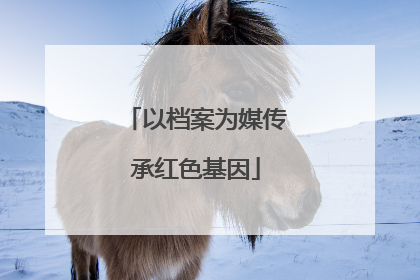 以档案为媒传承红色基因