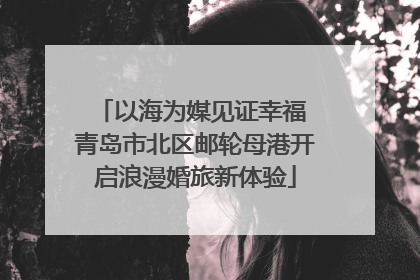 以海为媒见证幸福 青岛市北区邮轮母港开启浪漫婚旅新体验