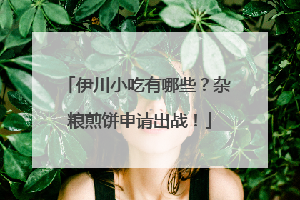 伊川小吃有哪些？杂粮煎饼申请出战！