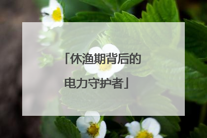 休渔期背后的电力守护者