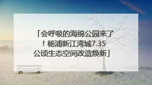 会呼吸的海绵公园来了！杨浦新江湾城7.35公顷生态空间改造焕新