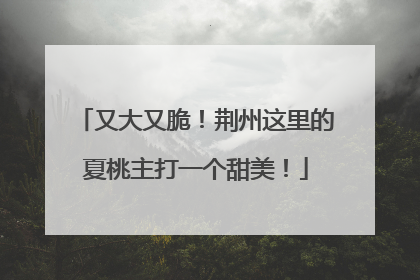 又大又脆！荆州这里的夏桃主打一个甜美！
