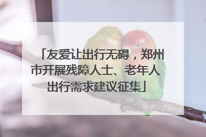 友爱让出行无碍，郑州市开展残障人士、老年人出行需求建议征集