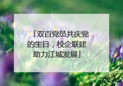 双百党员共庆党的生日，校企联建助力江城发展