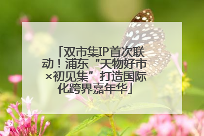 双市集IP首次联动！浦东“天物好市×初见集”打造国际化跨界嘉年华