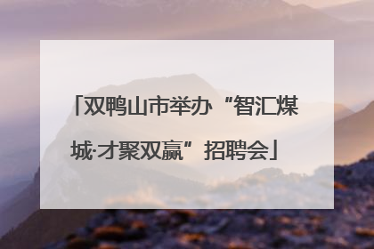 双鸭山市举办“智汇煤城·才聚双赢”招聘会