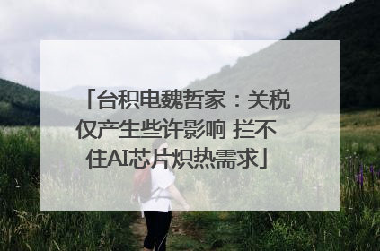 台积电魏哲家：关税仅产生些许影响 拦不住AI芯片炽热需求