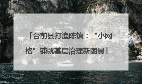 台前县打渔陈镇：“小网格”铺就基层治理新图景
